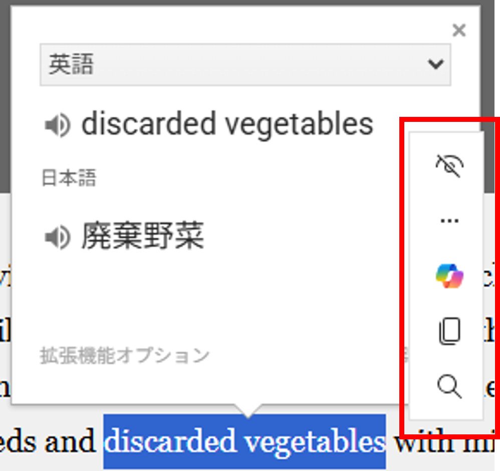 英語と日本語がポップアップ表示される