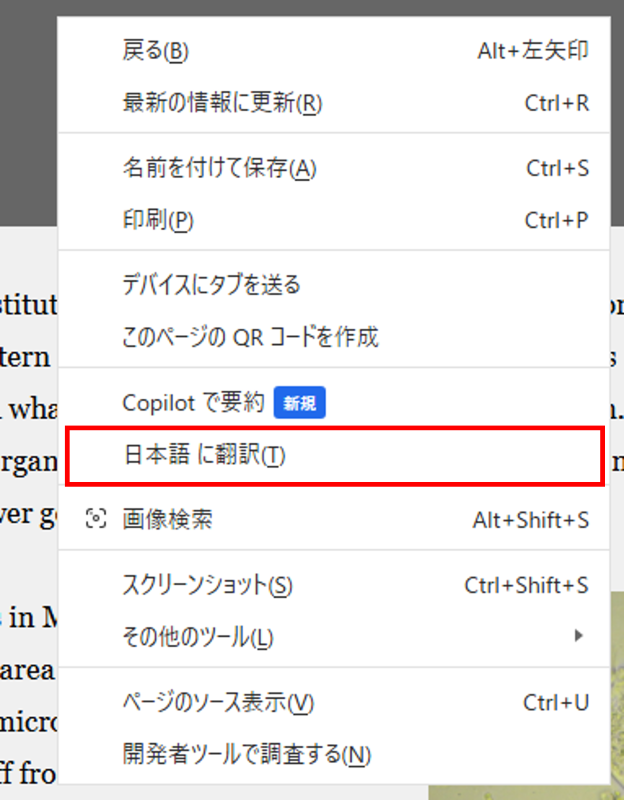 [日本語に翻訳]をクリック