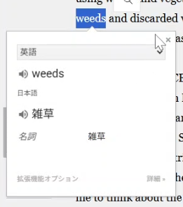 英語と日本語がポップアップ表示される